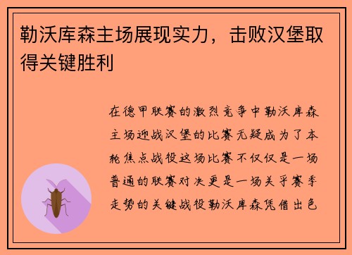 勒沃库森主场展现实力，击败汉堡取得关键胜利
